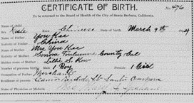 1894 certificate of birth